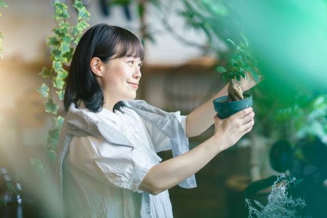 趣味の時間